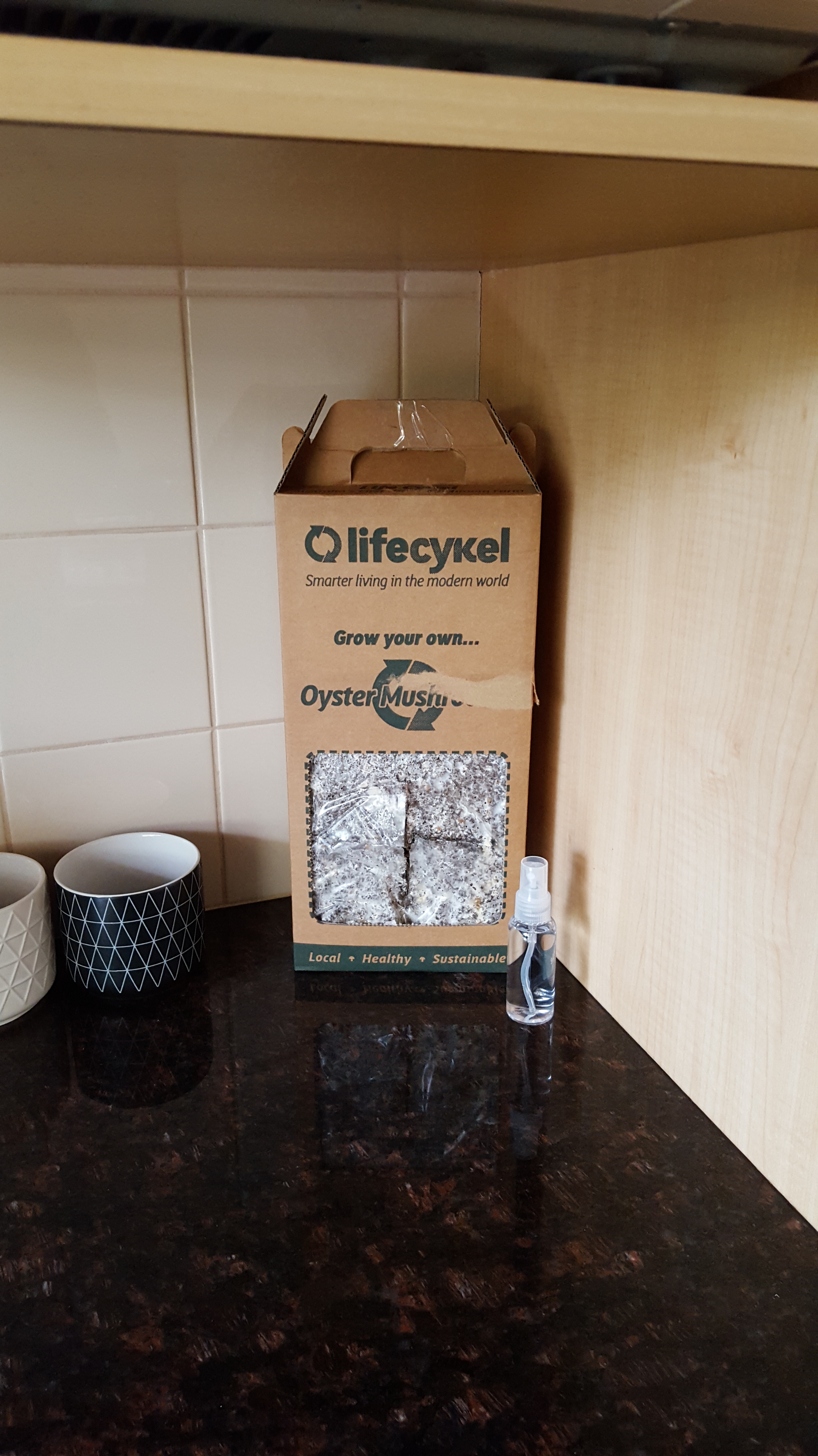 PK Reviews: Life Cykel Home Grown Mushroom Box