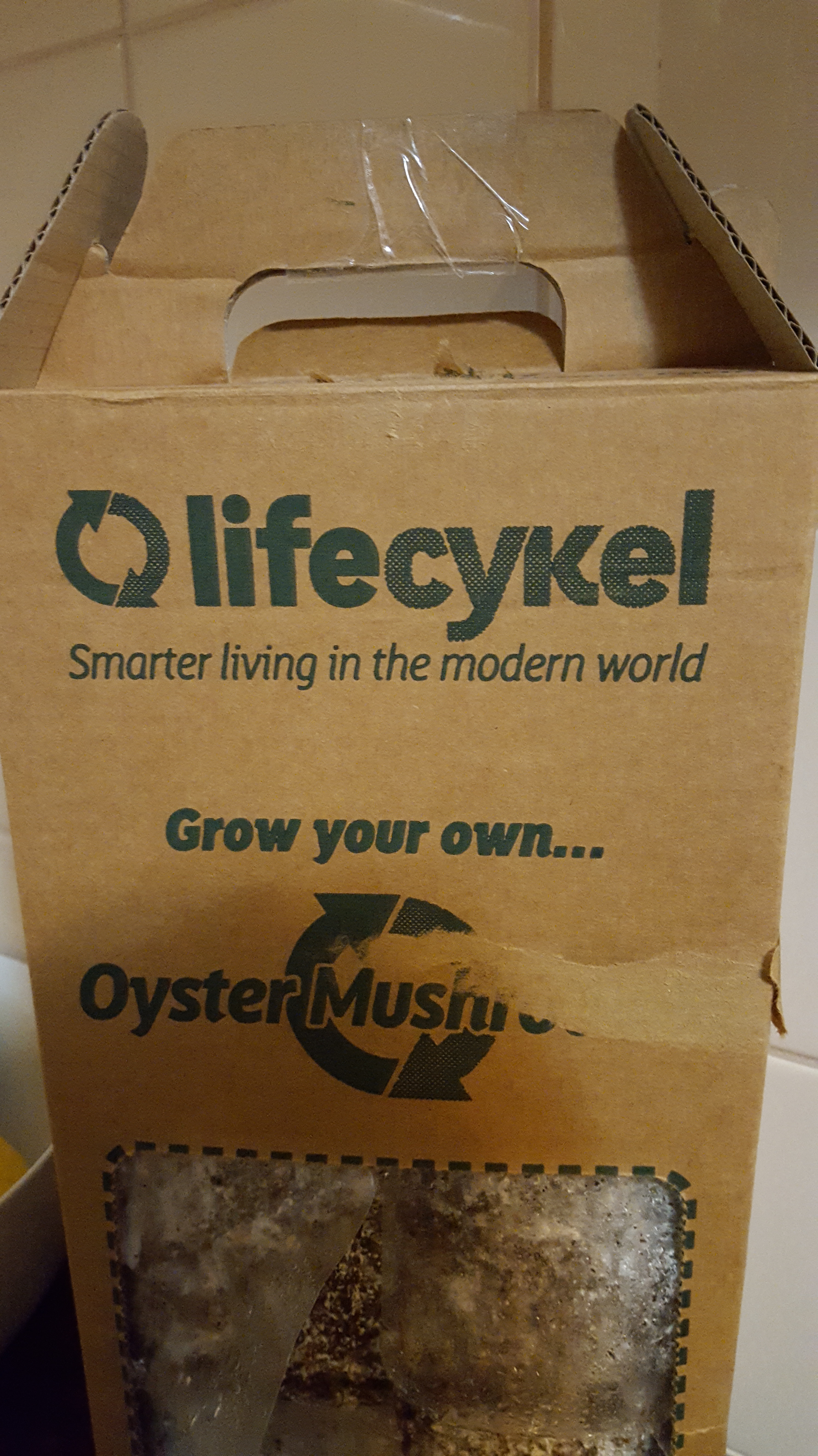 Day 7 Life Cykel Home Grown Mushroom Box Side 2