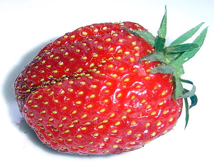 Strawberry (Fragaria ananassa)