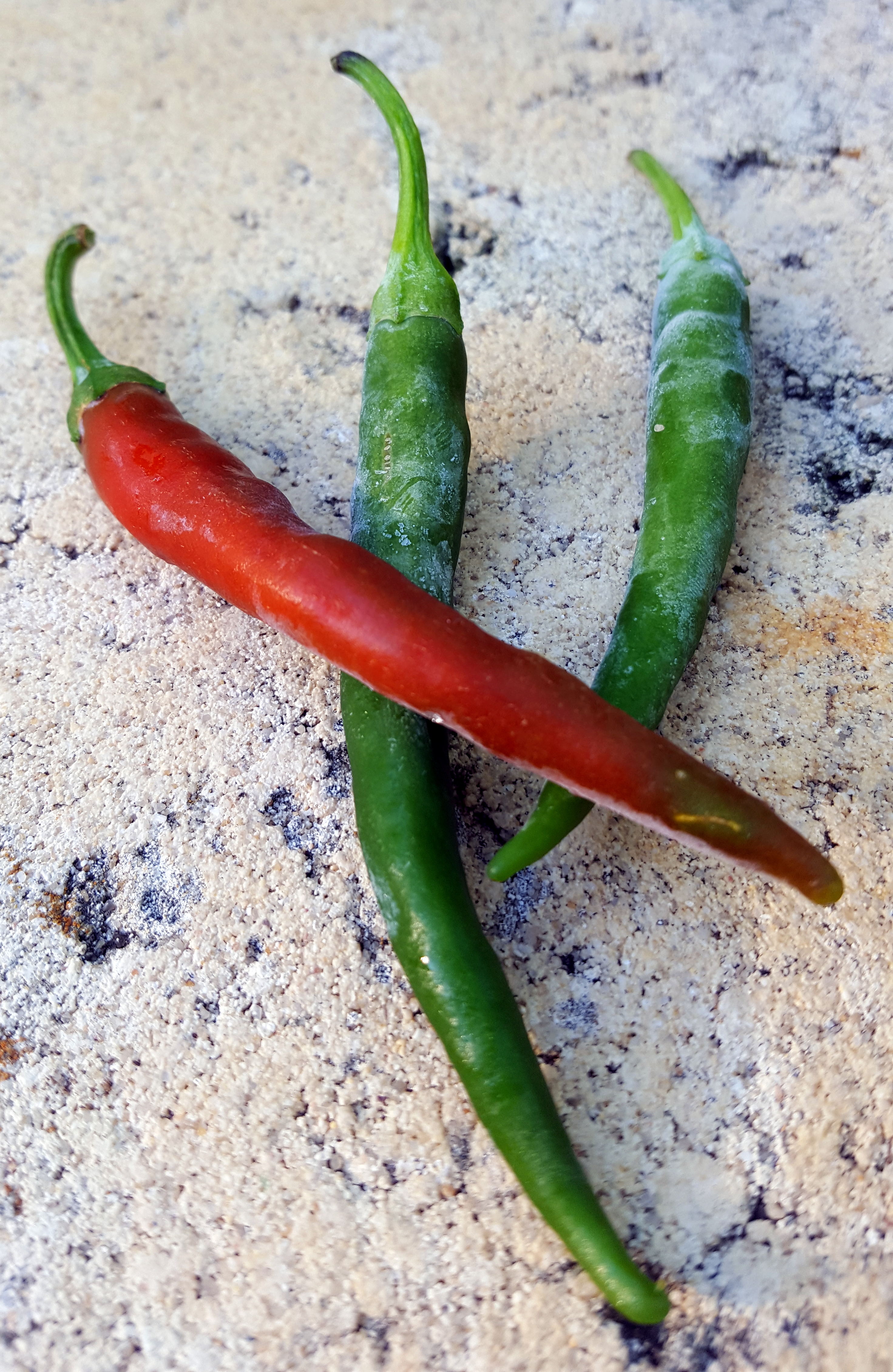 Chili Pepper: Cayenne