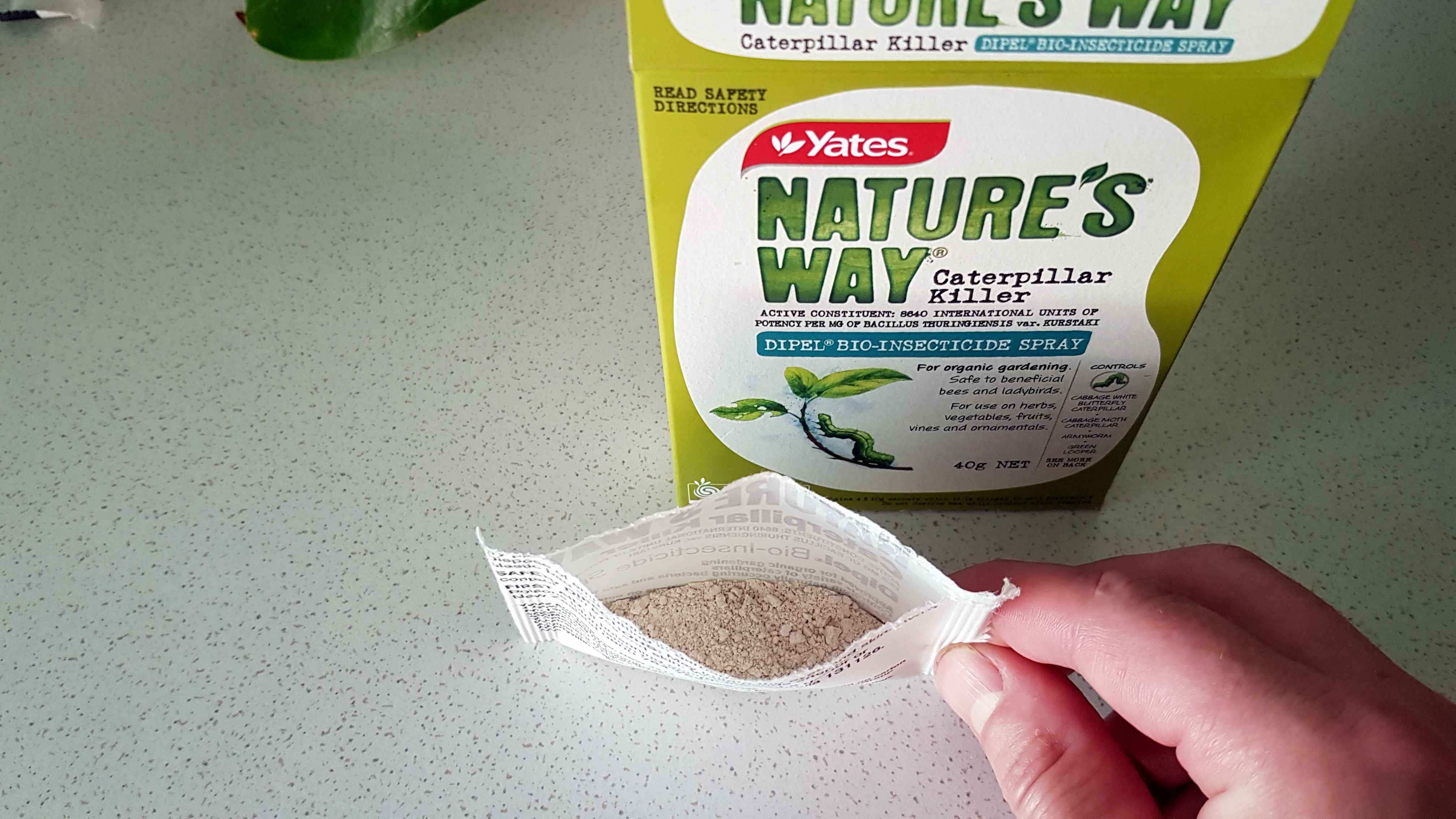 Dipel Caterpillar Control