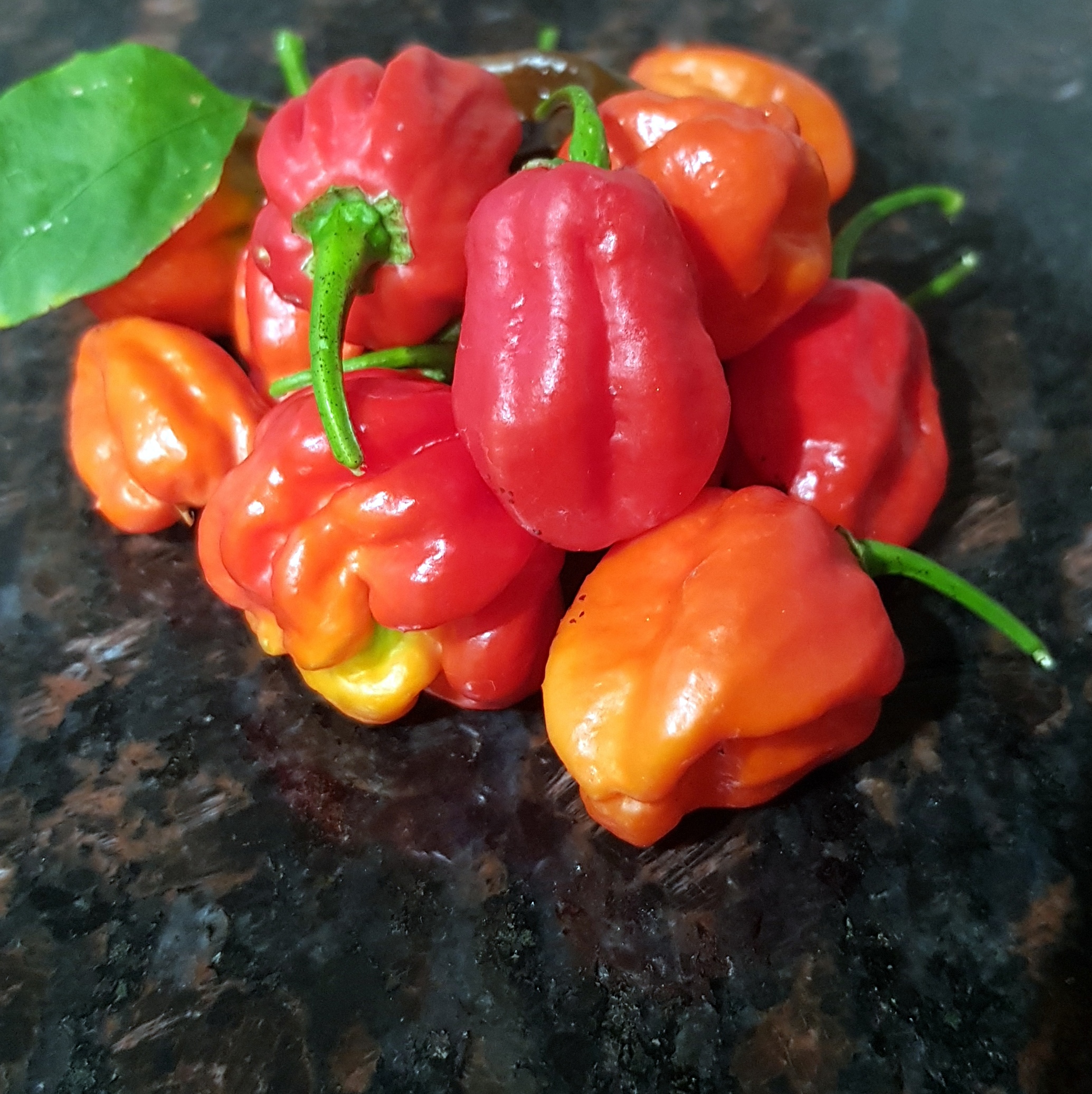 My Favourite Photos 23 Mar 2018