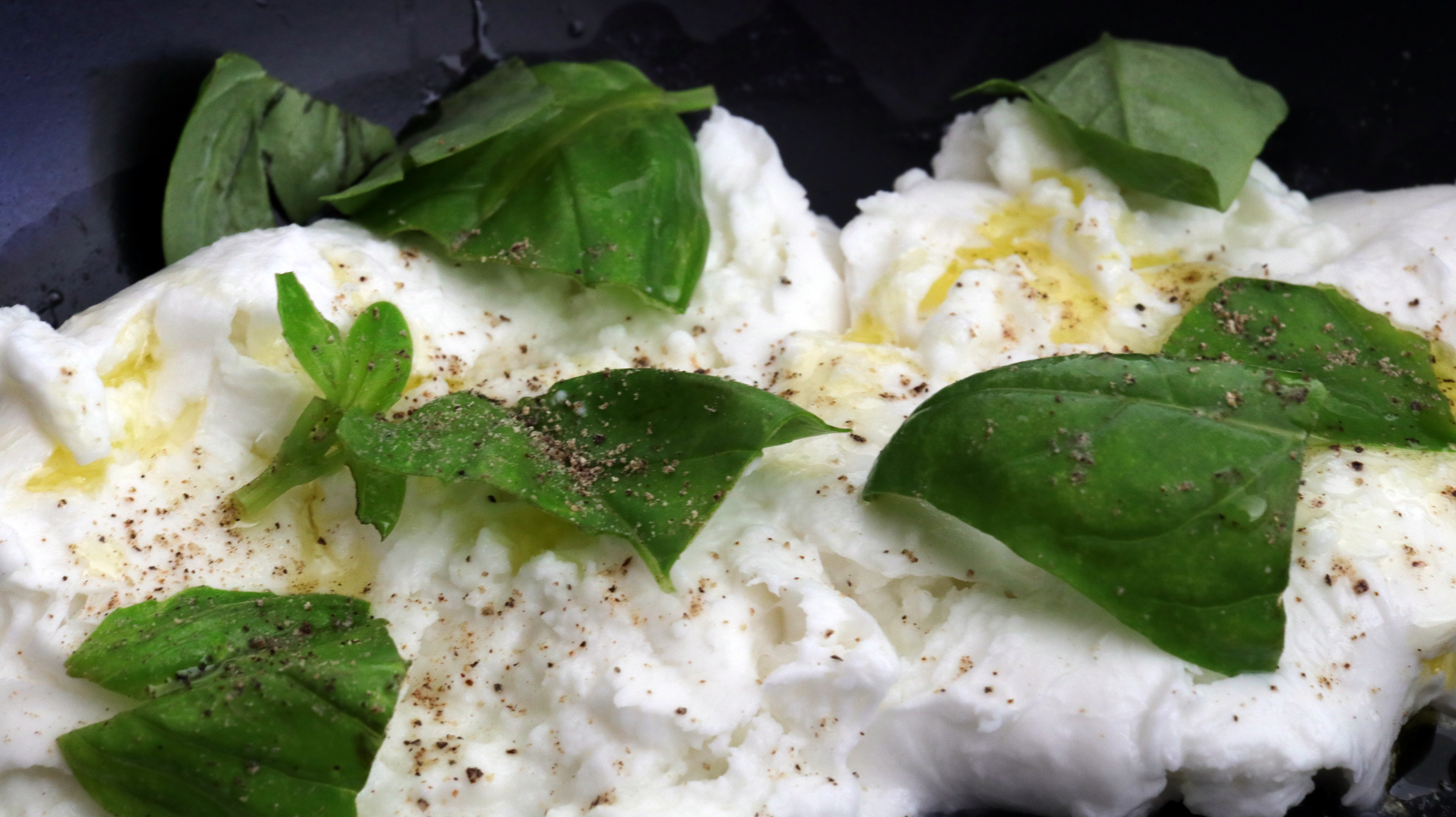 Buffalo Mozzarella And Basil Antipasto