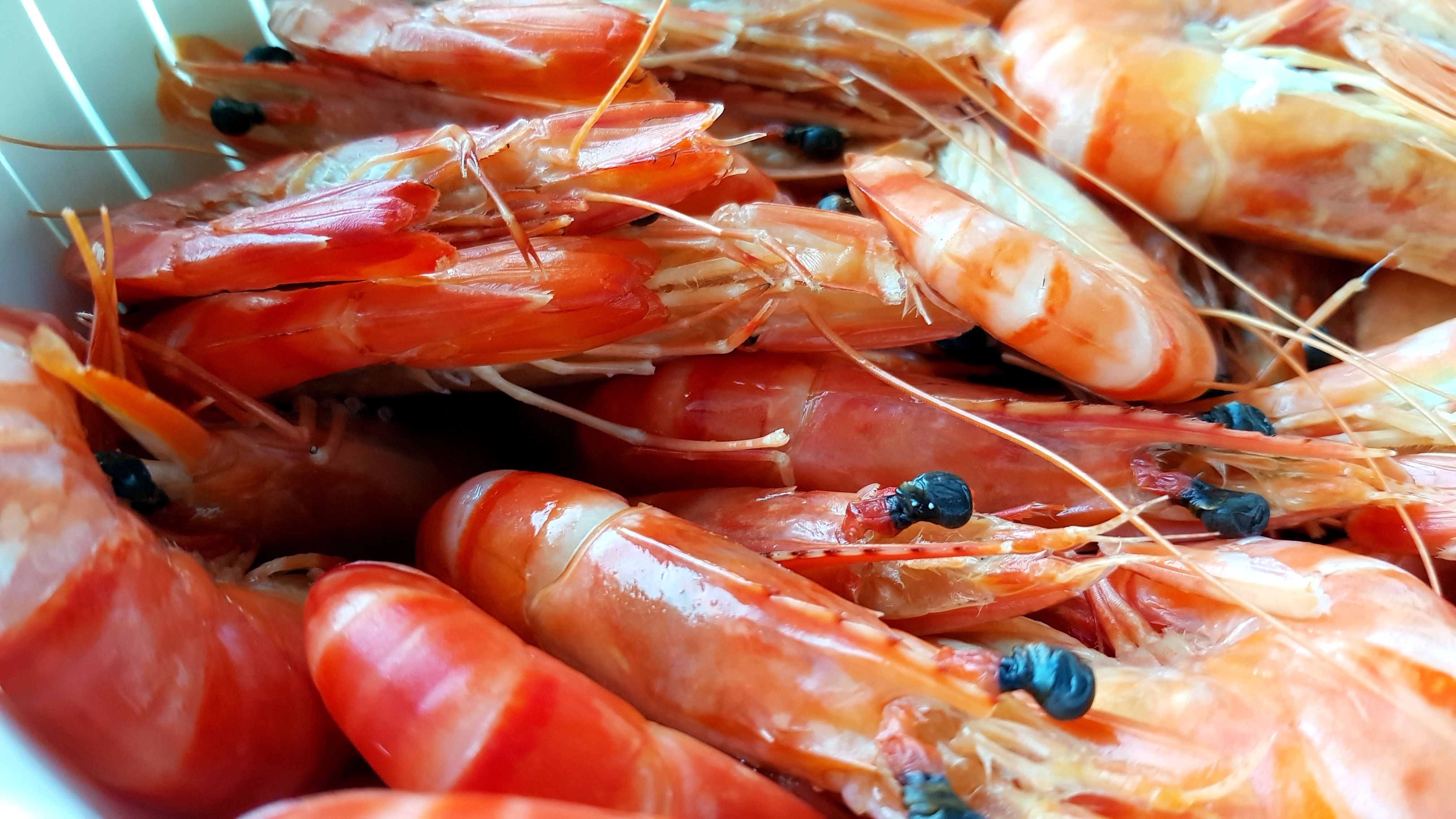 My Favourite Photos 02 Jan 2018