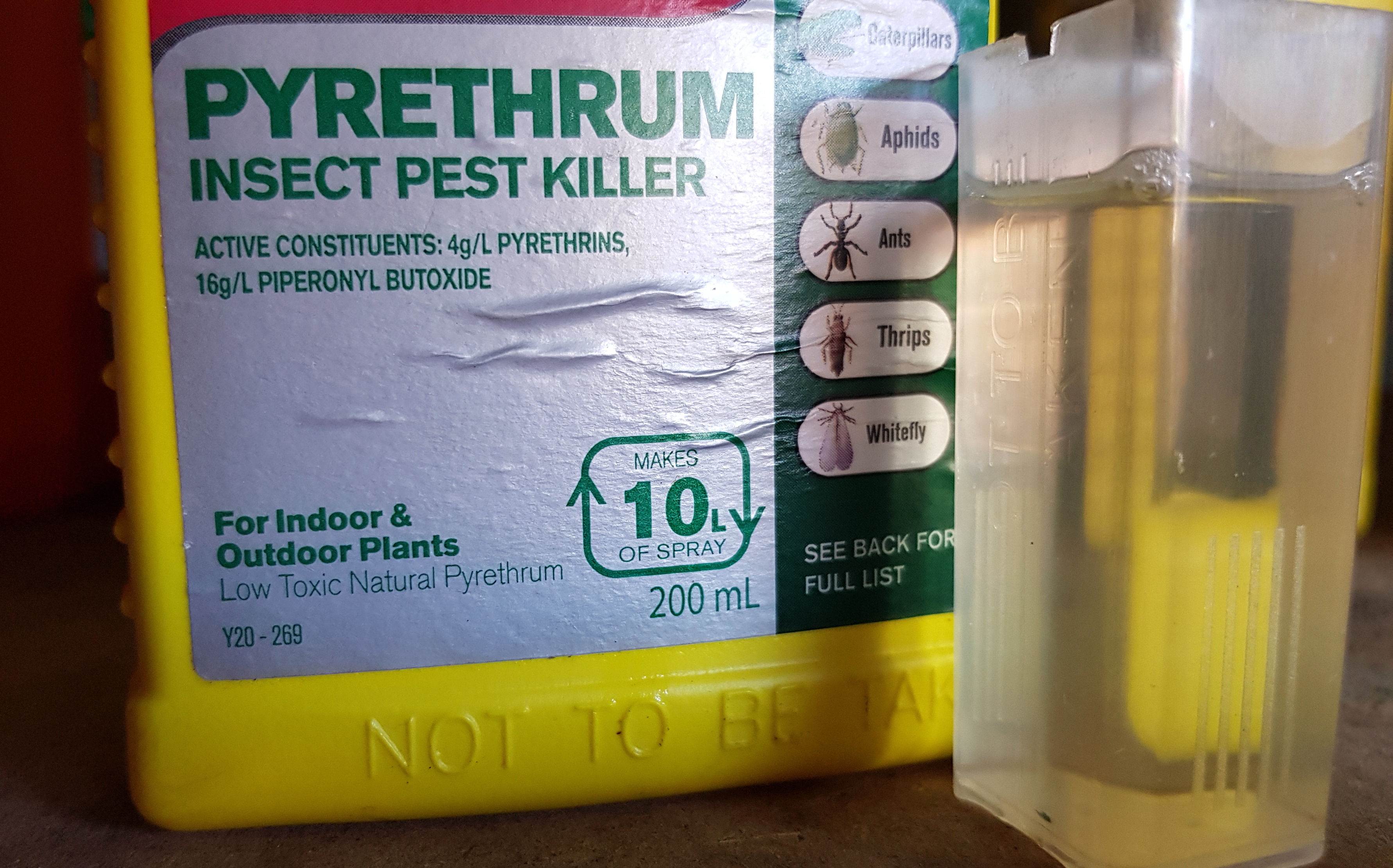 Pyrethrum Natural Insecticide