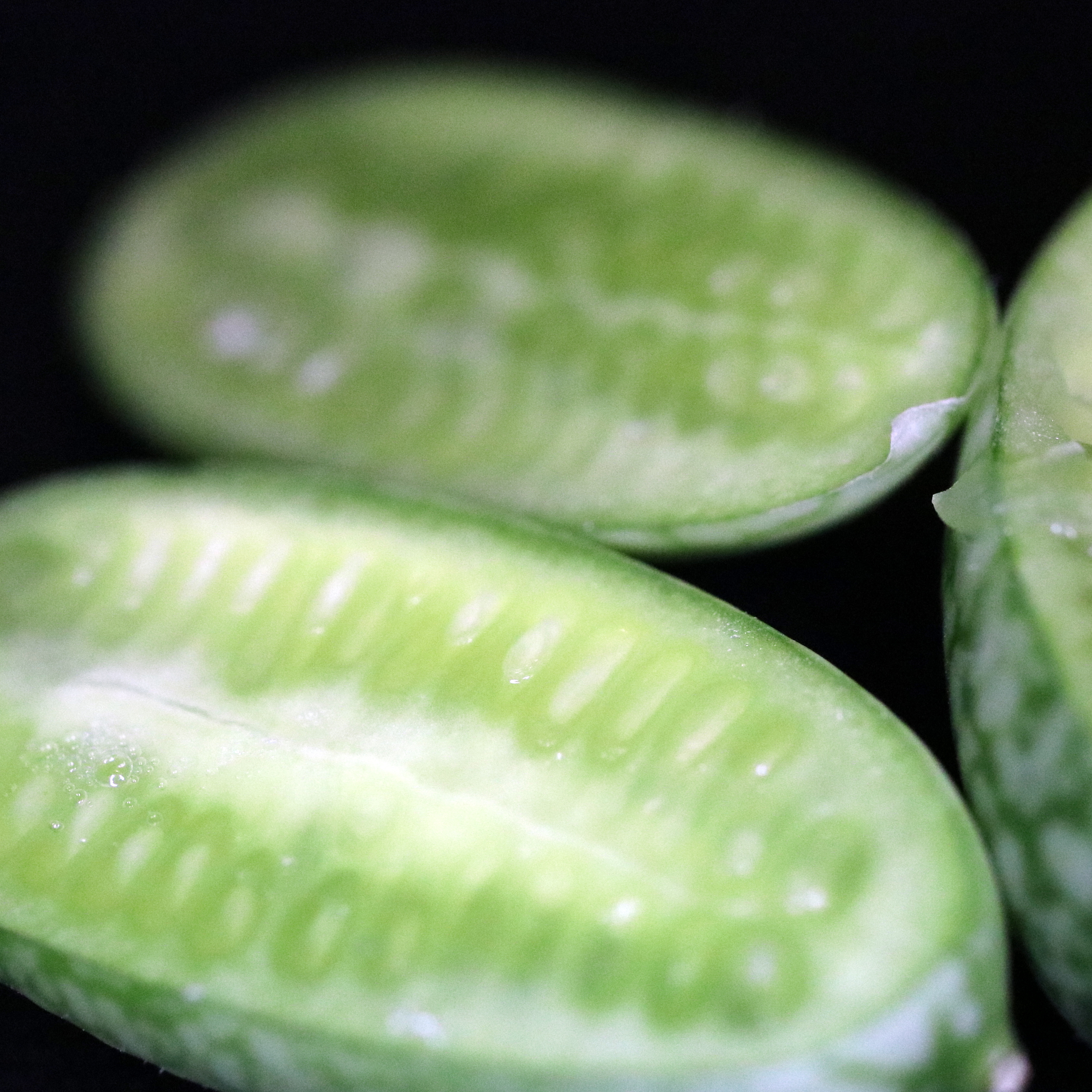 My Favourite Photos 02 Mar 2018