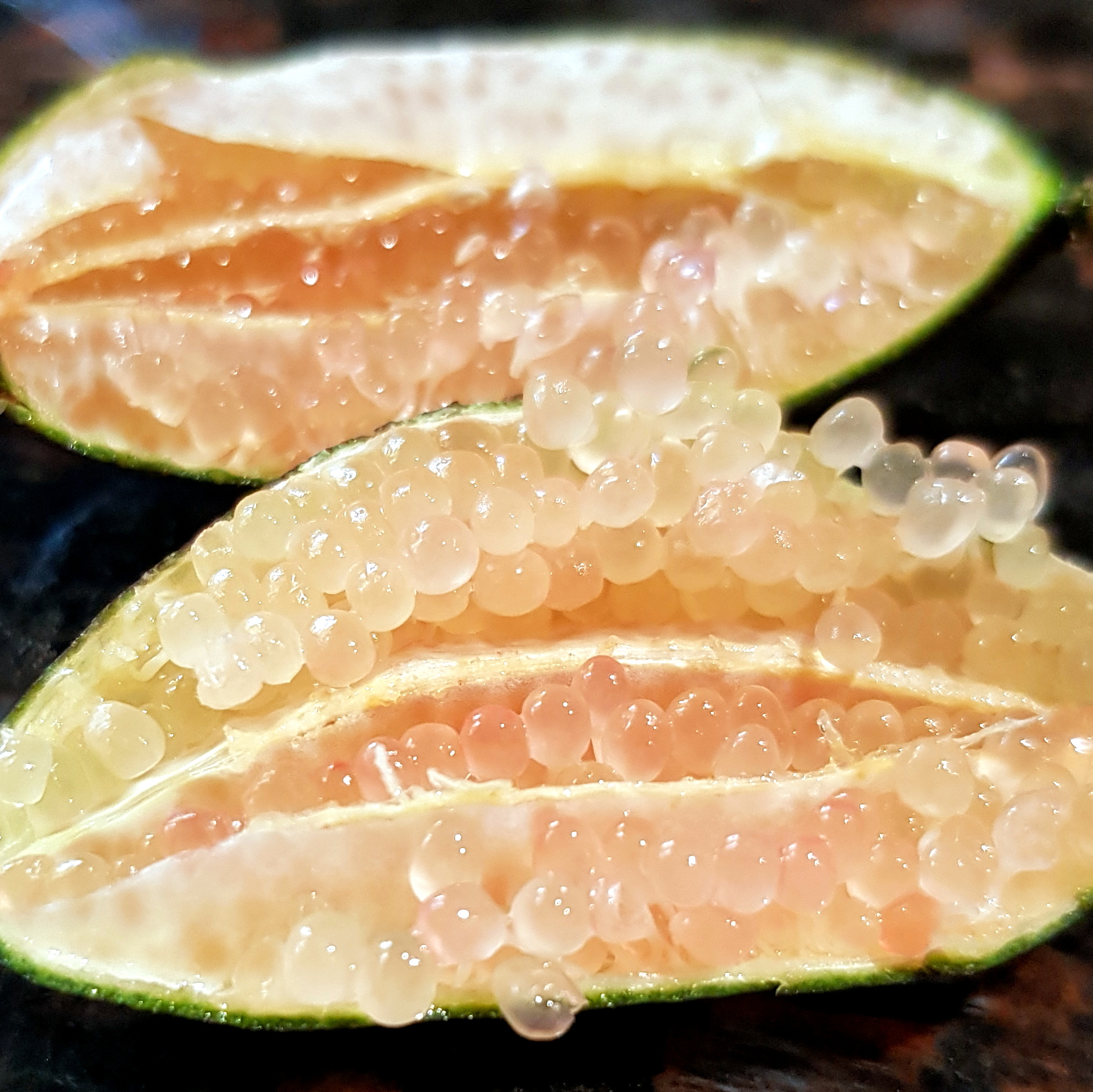 Australian Finger Limes