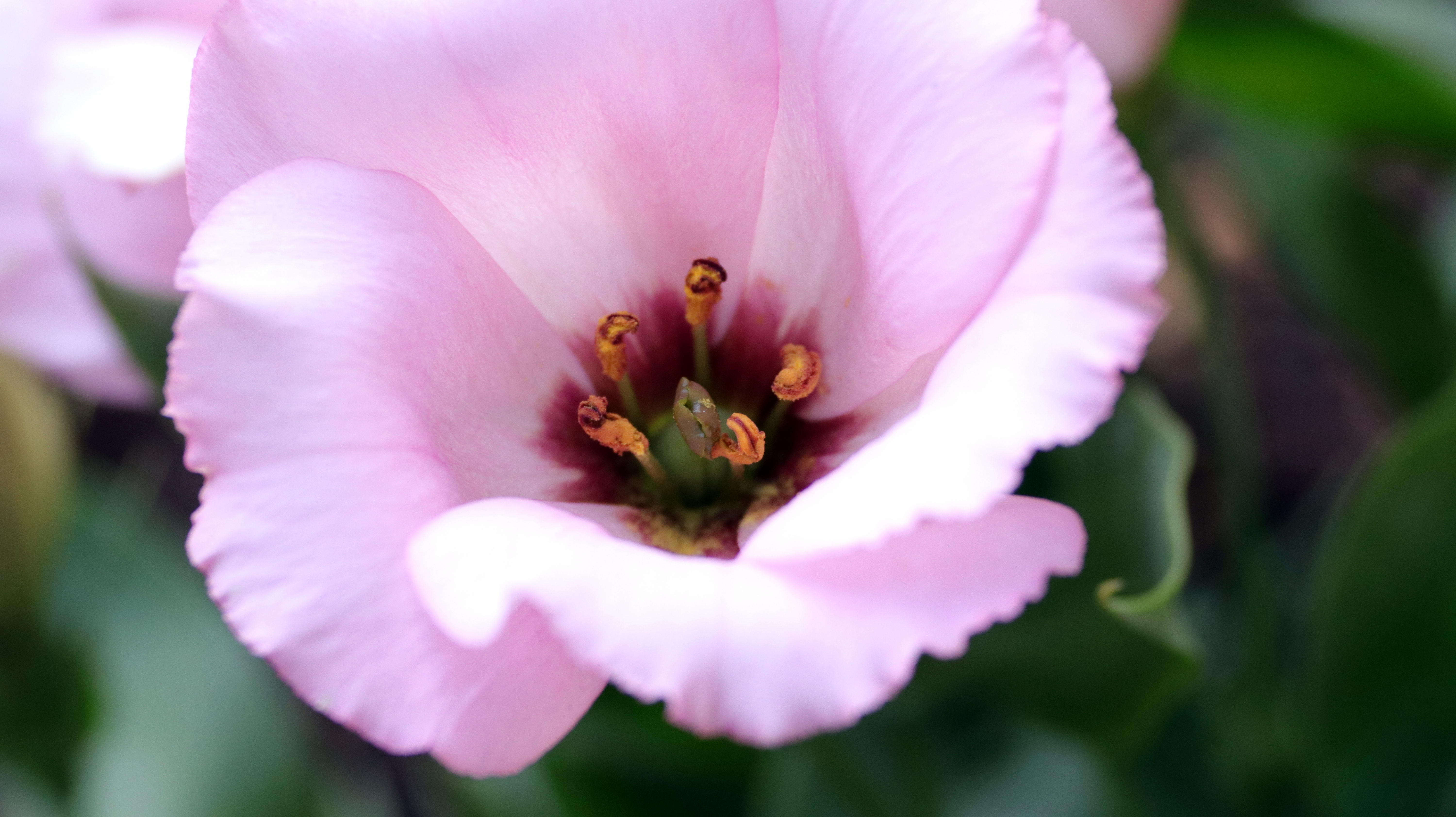 GICICI Random Photos 18 May 2018