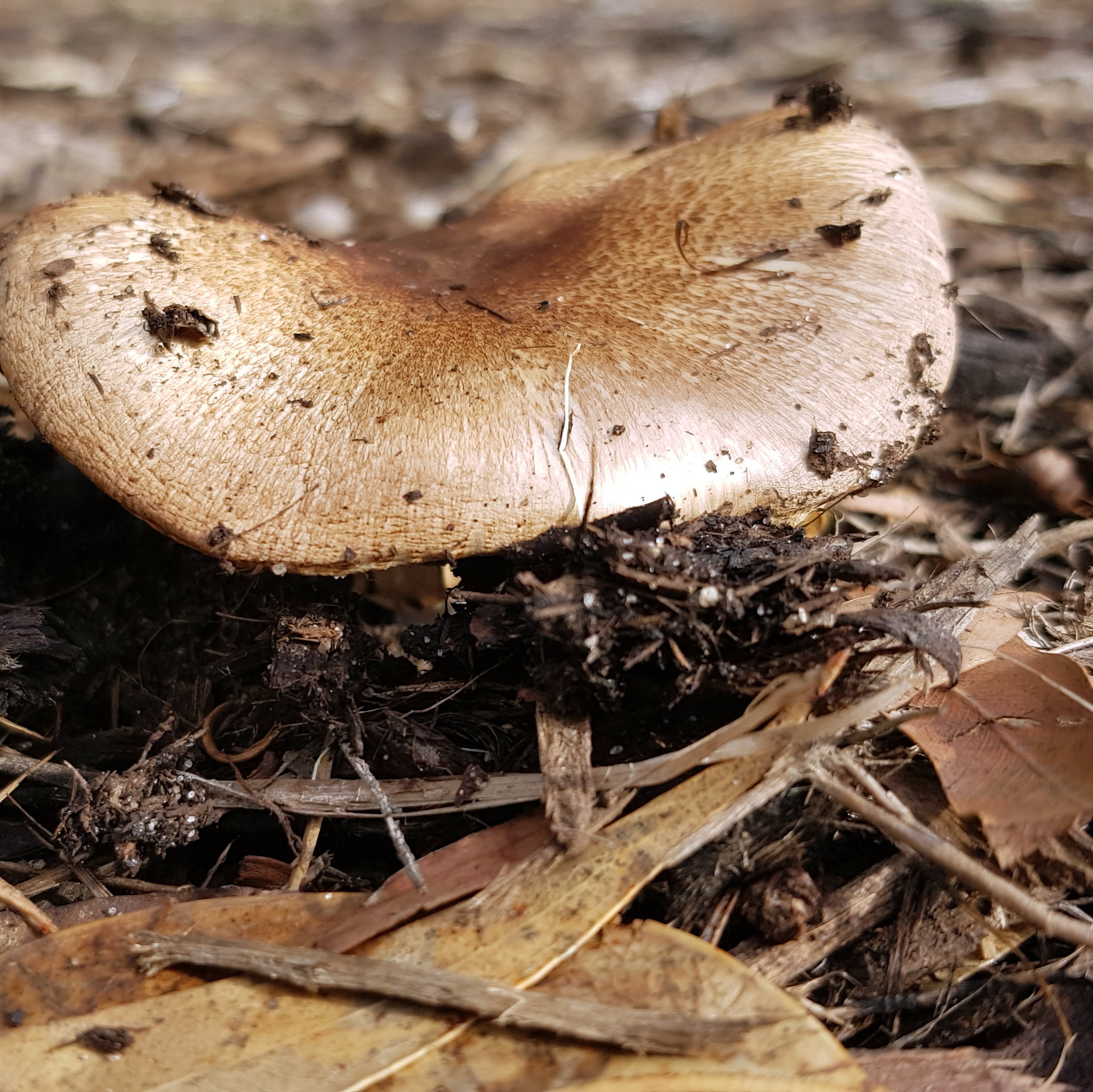 My Favourite Photos 27 Apr 2018