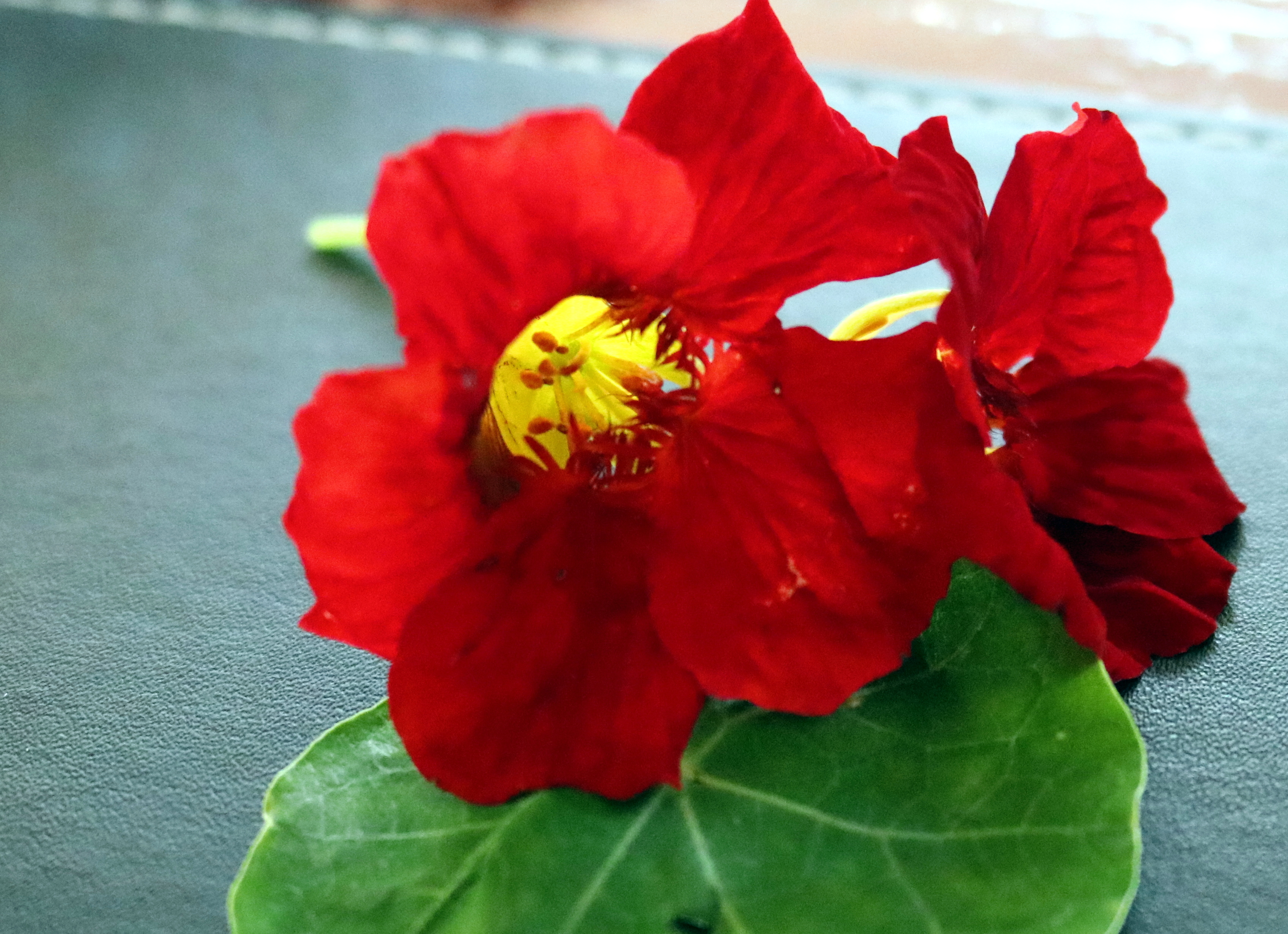 My Favourite Photos 16 Jan 2018