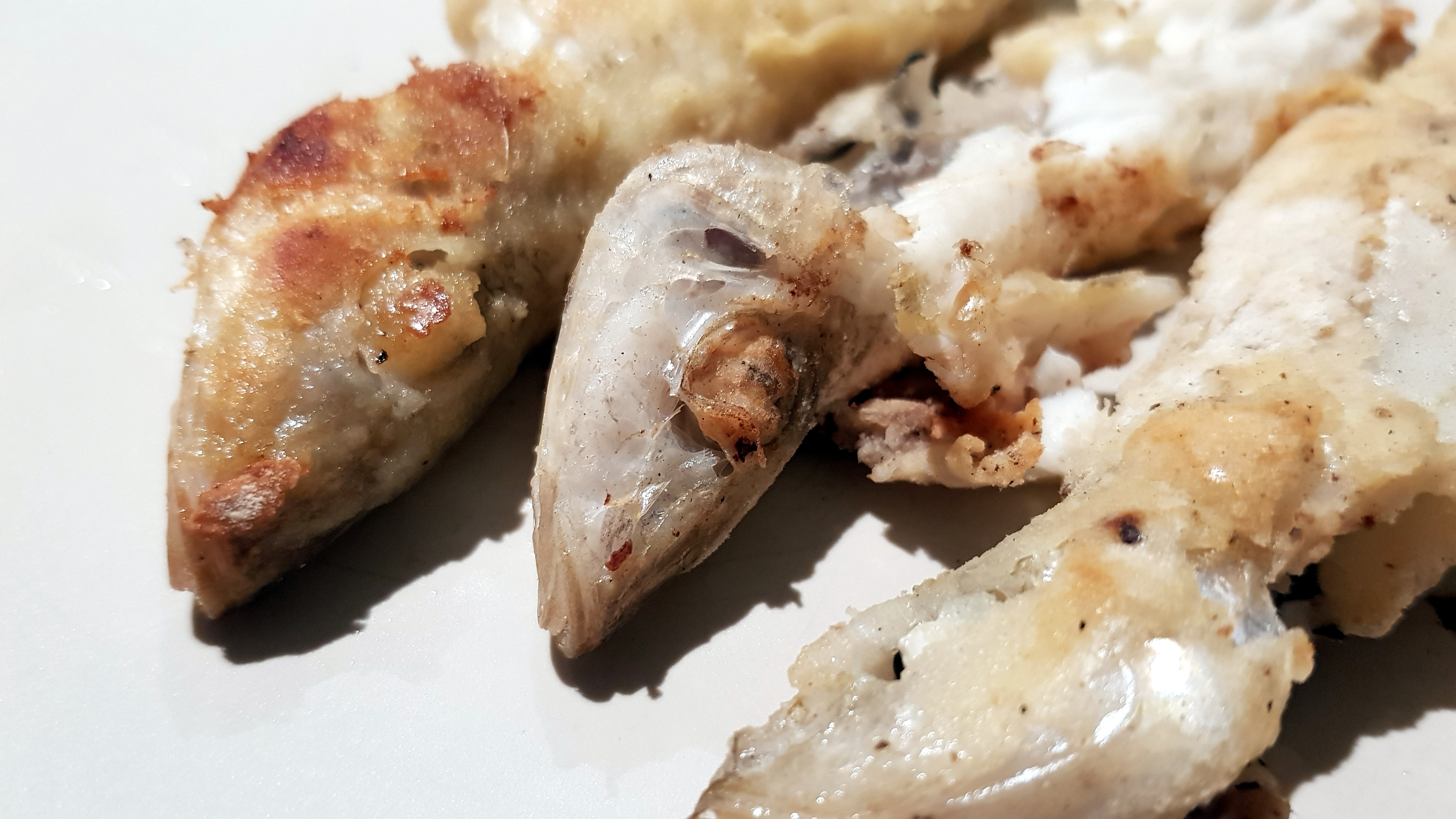 GICICI Random Photos 08 June 2018