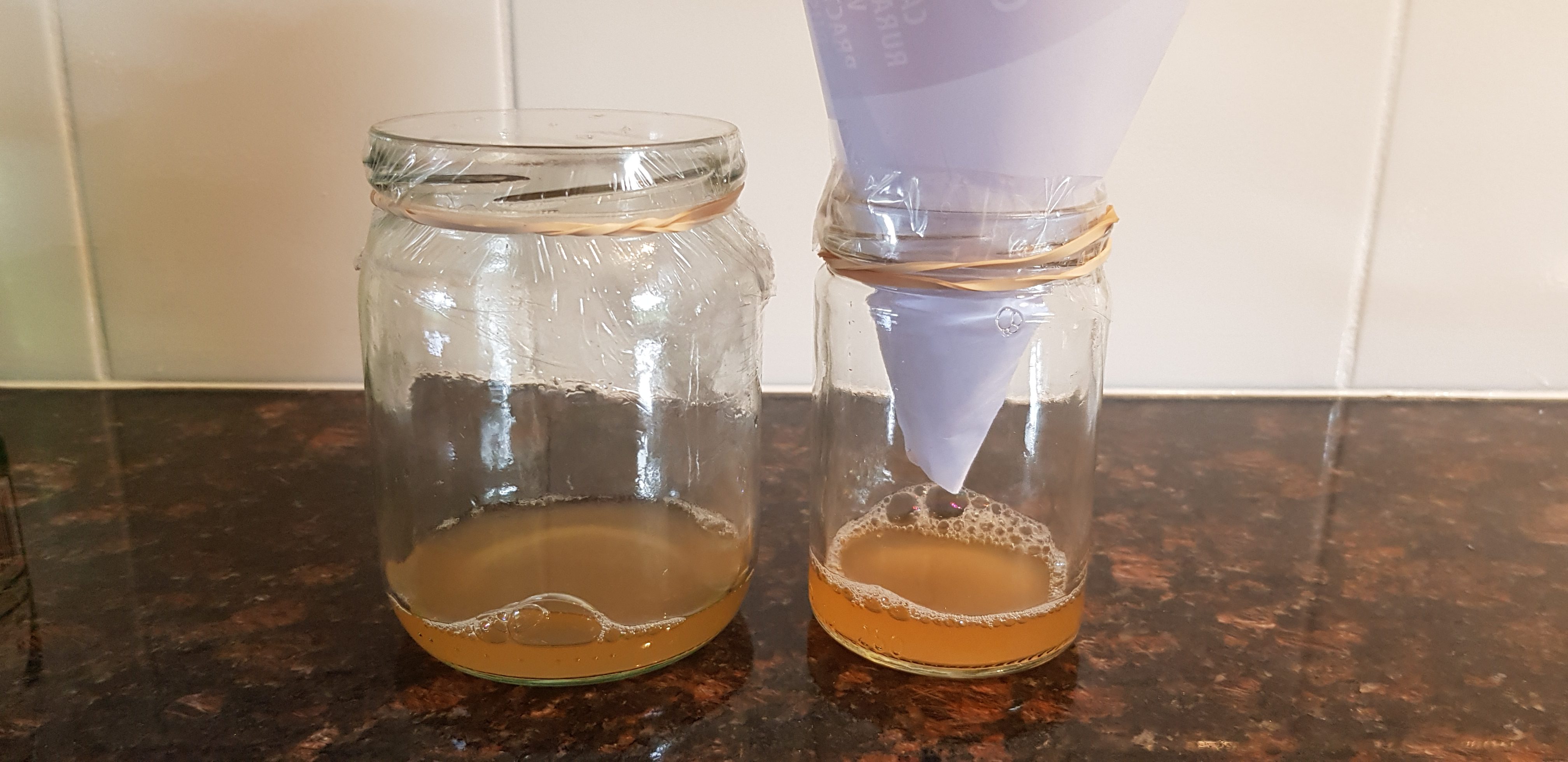 Homemade Fruit Fly Traps