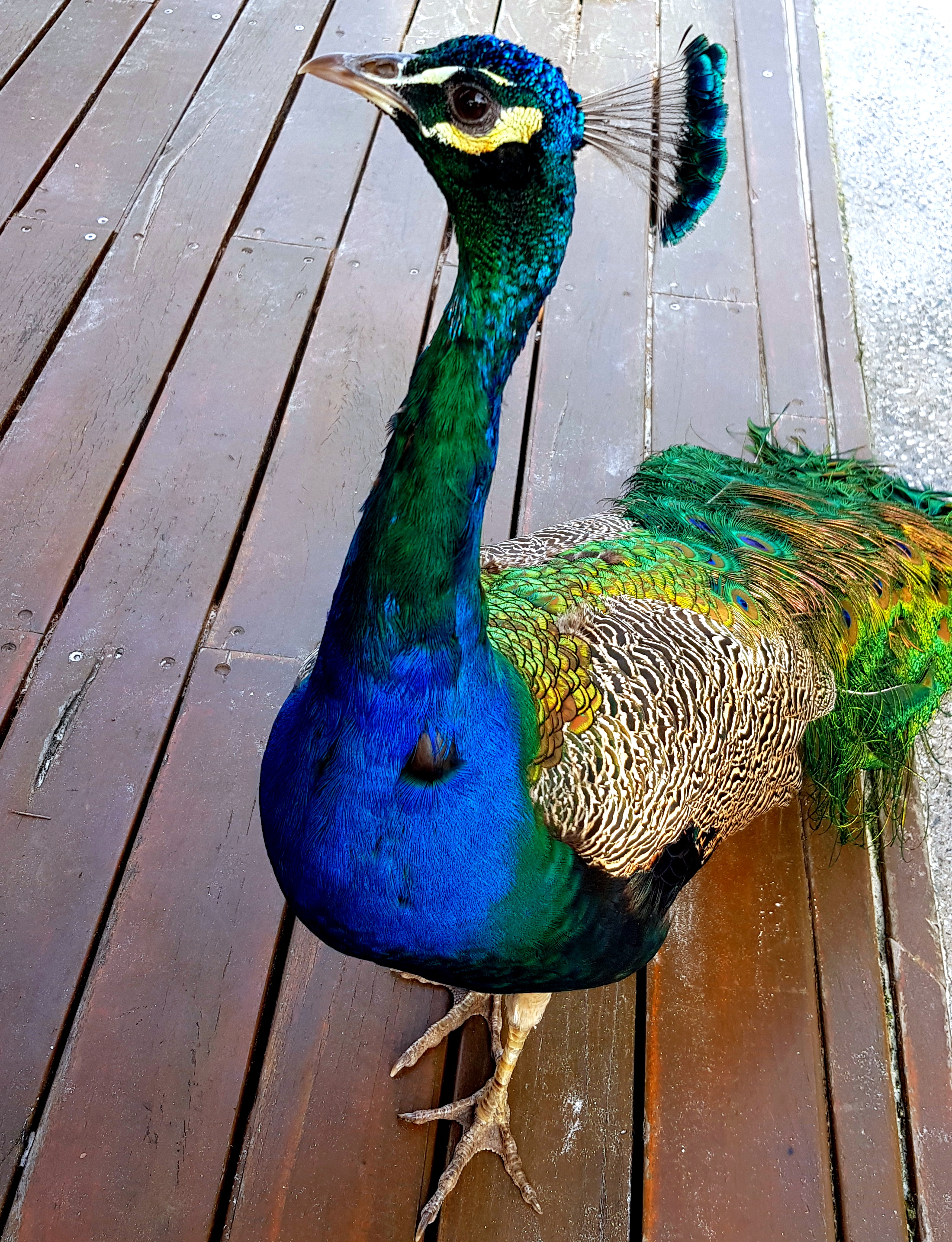 GICICI Random Photos 29 June 2018