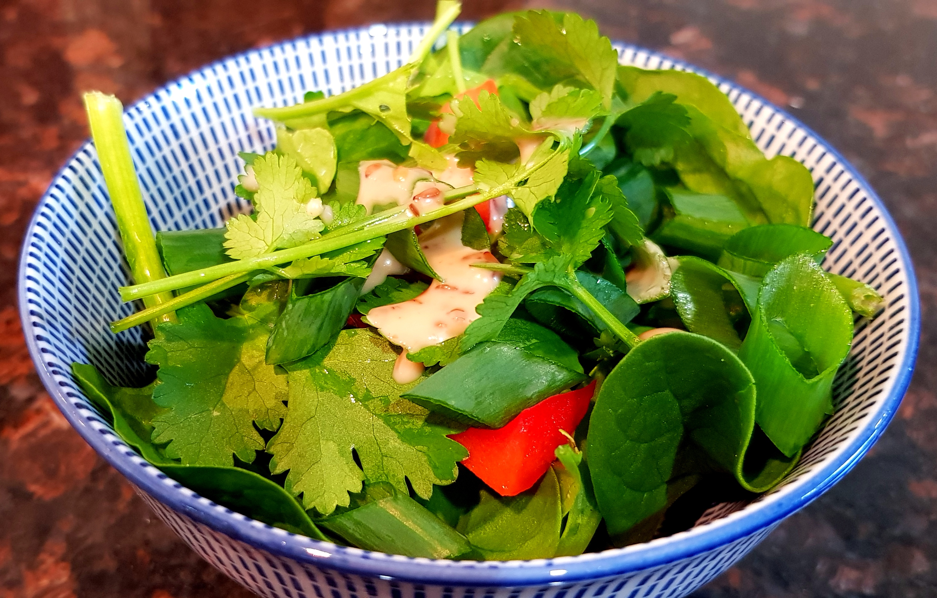 Japanese Roasted Sesame Dressing