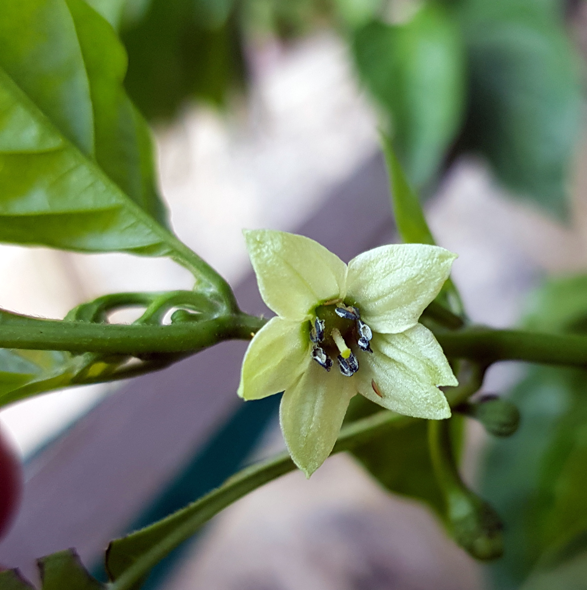 My Favourite Photos 09 Mar 2018