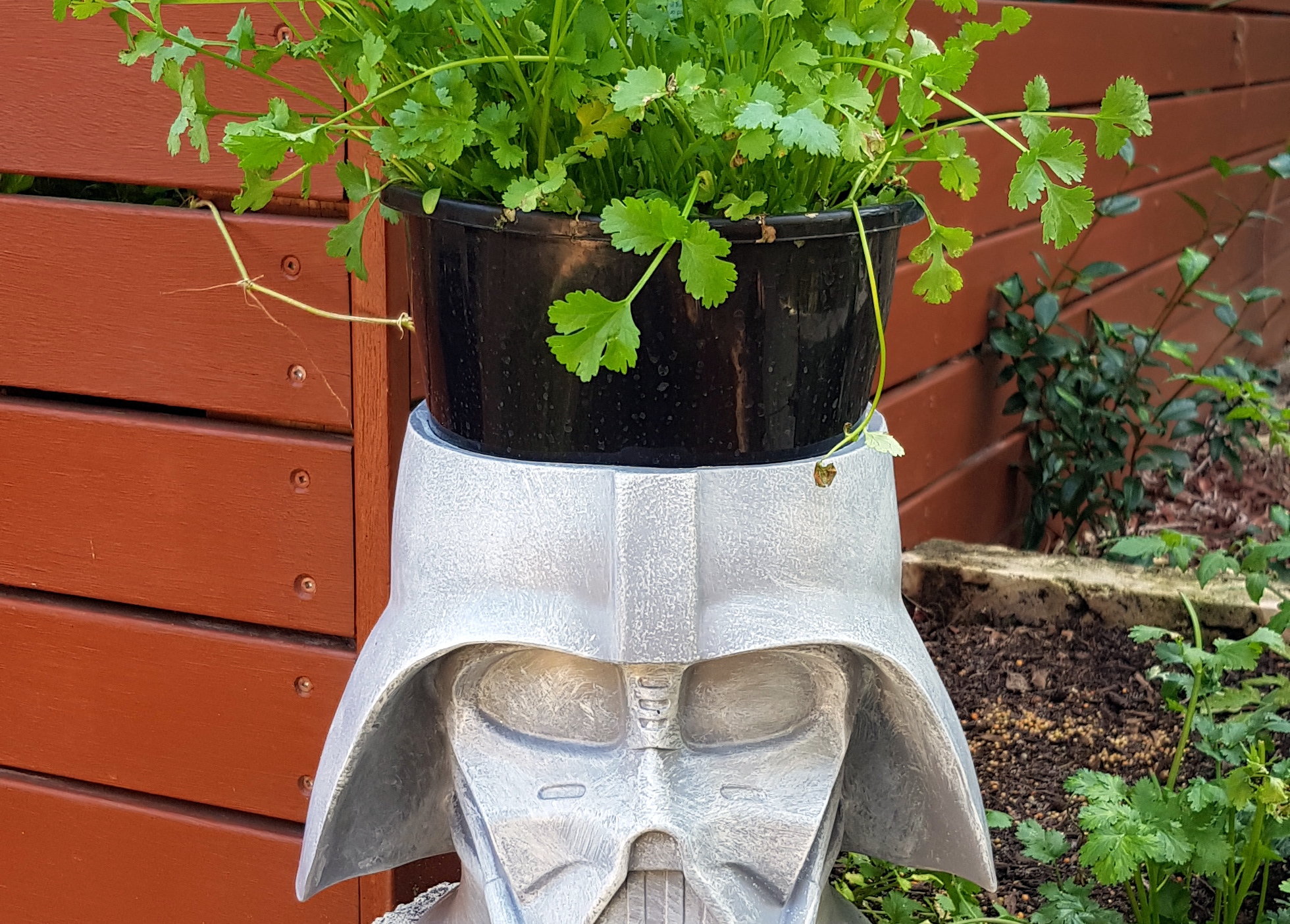 GICICI Random Photos 11 May 2018