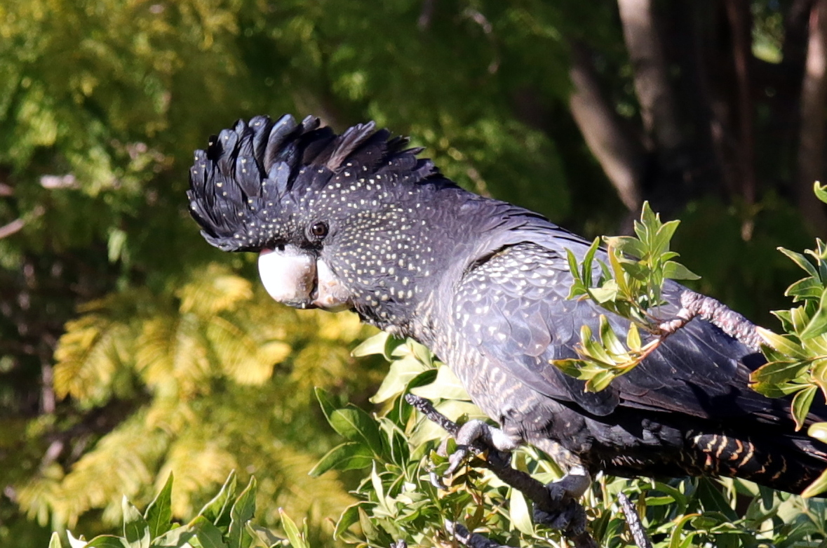 GICICI Random Photos 25 May 2018