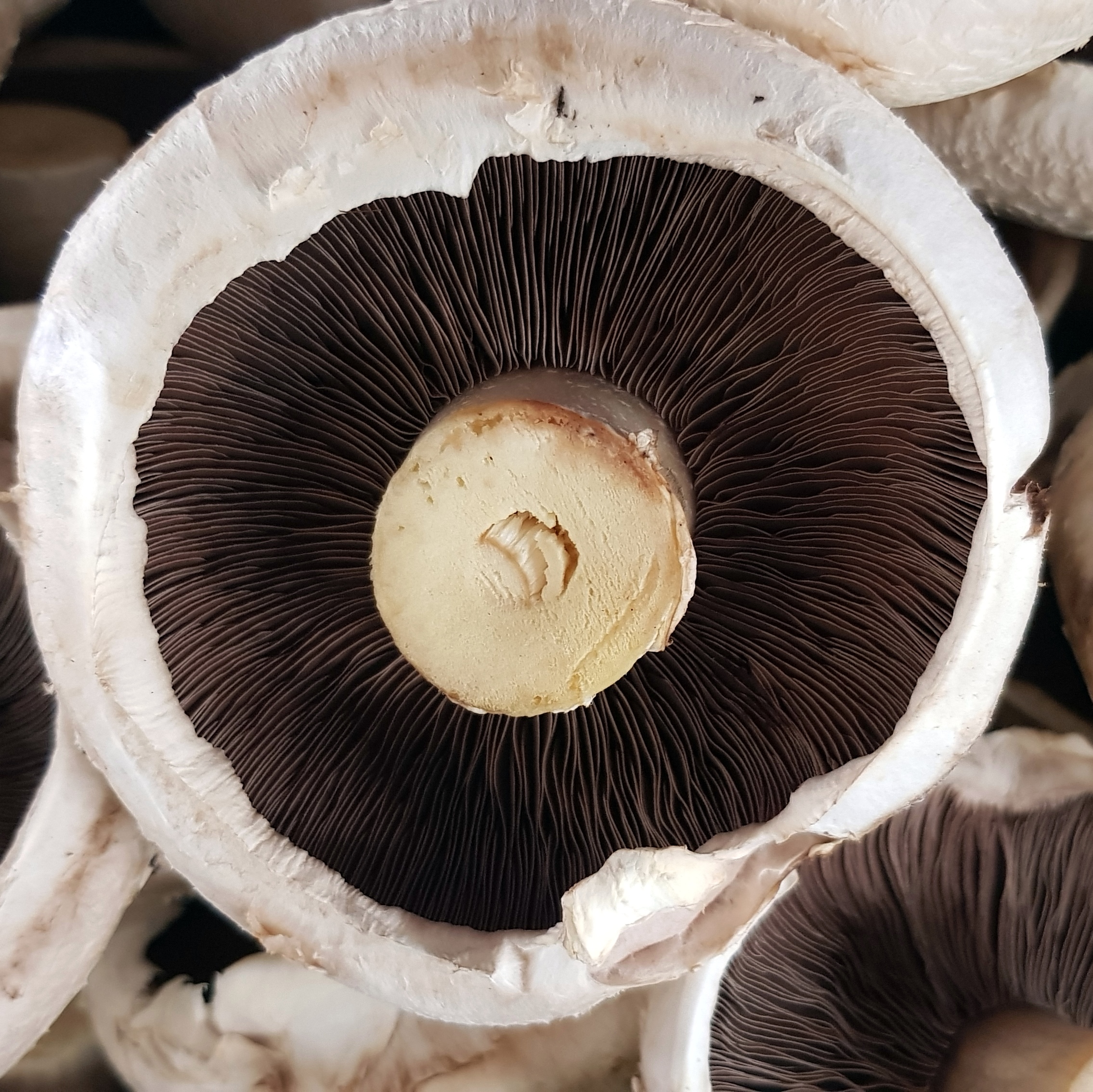 My Favourite Photos 06 Apr 2018