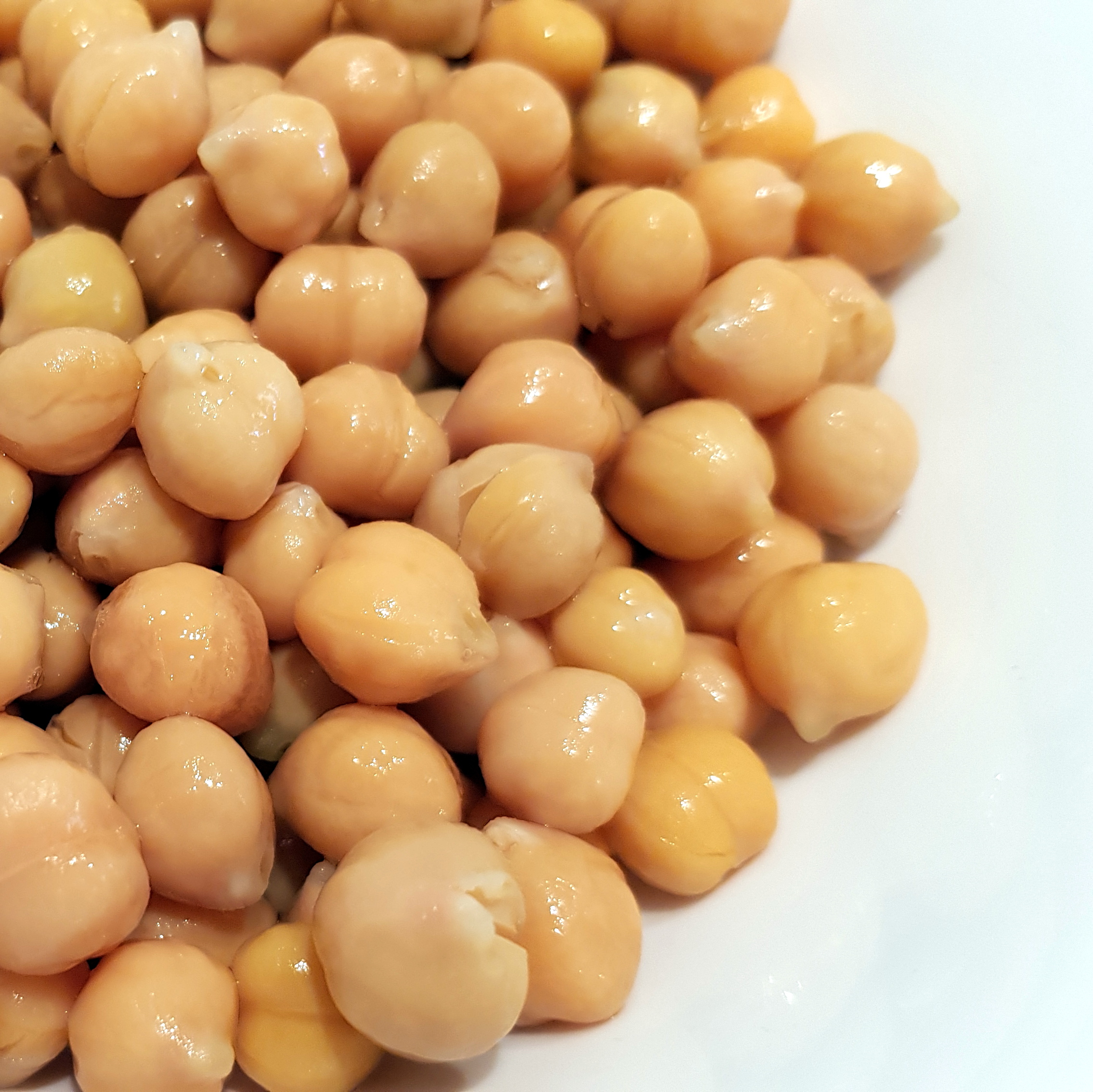 Chickpea (Garbanzo Bean)